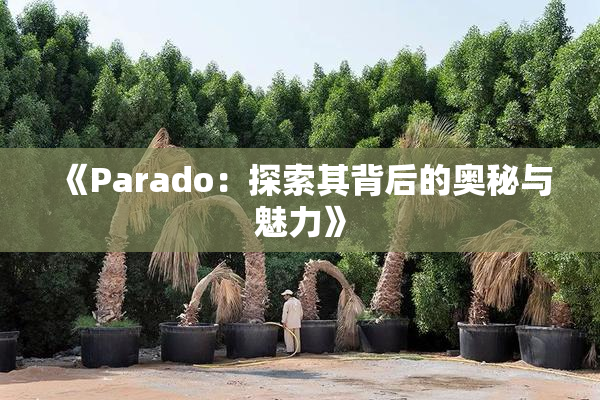 《Parado：探索其背后的奥秘与魅力》