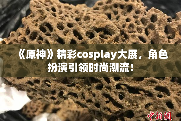 《原神》精彩cosplay大展，角色扮演引领时尚潮流！