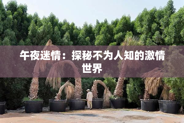 午夜迷情：探秘不为人知的激情世界