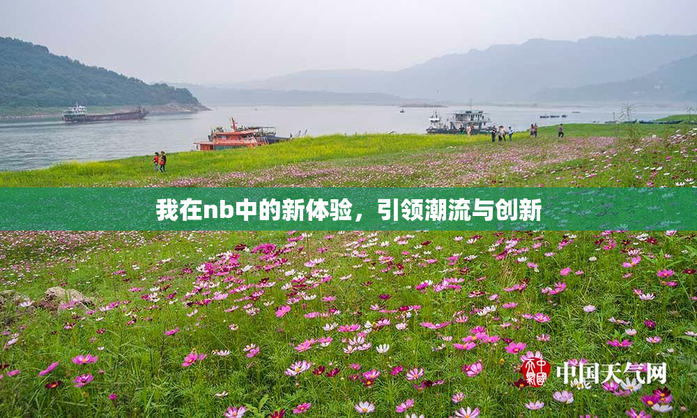 我在nb中的新体验，引领潮流与创新