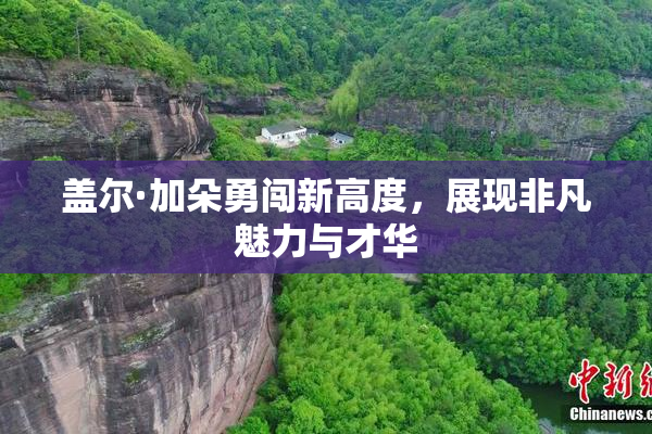 盖尔·加朵勇闯新高度，展现非凡魅力与才华