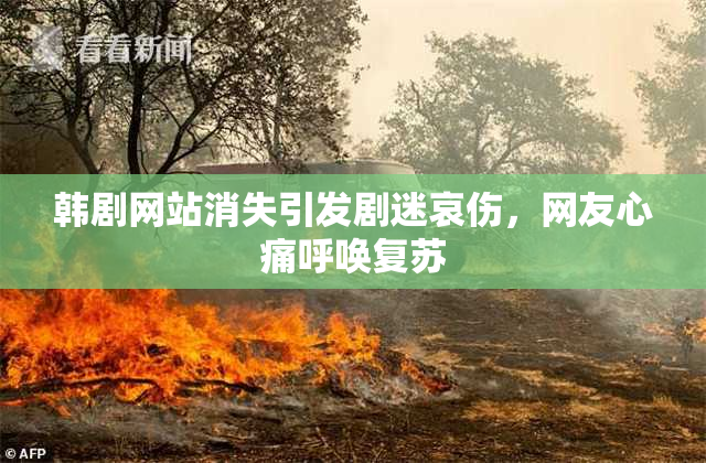 韩剧网站消失引发剧迷哀伤，网友心痛呼唤复苏