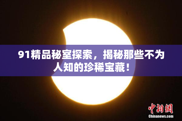 91精品秘室探索，揭秘那些不为人知的珍稀宝藏！