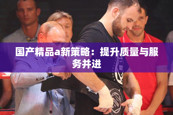 国产精品a新策略：提升质量与服务并进