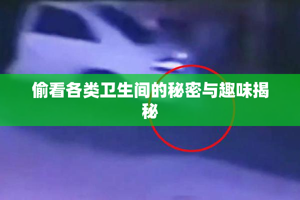 偷看各类卫生间的秘密与趣味揭秘