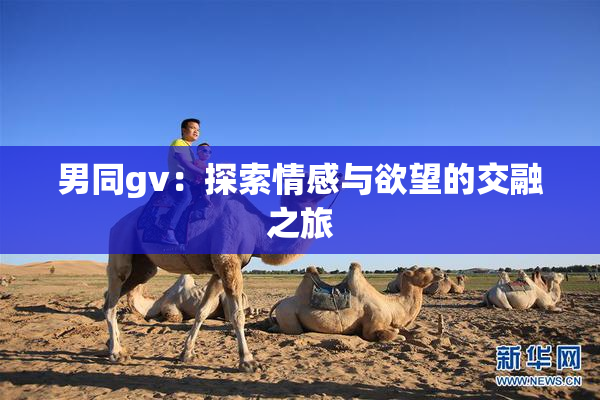 男同gv：探索情感与欲望的交融之旅