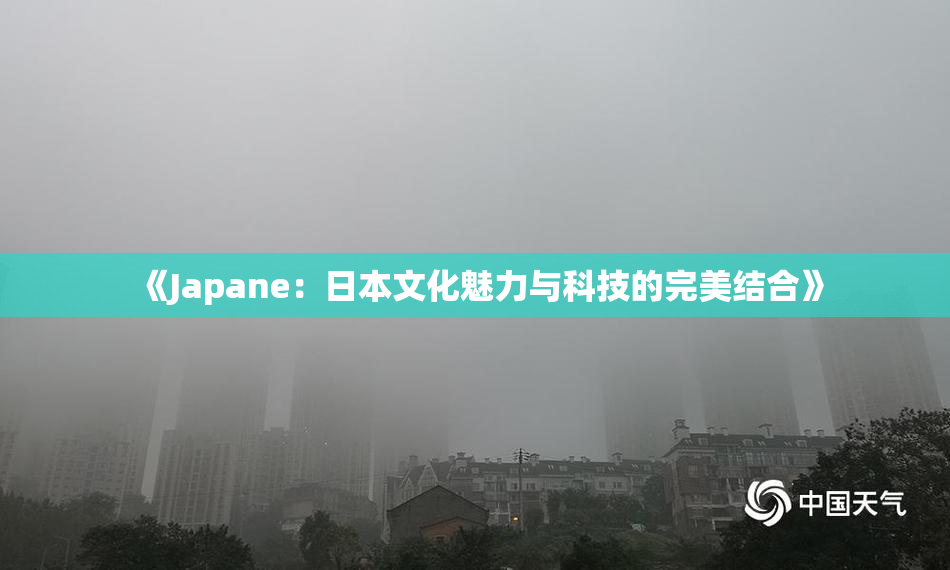 《Japane：日本文化魅力与科技的完美结合》