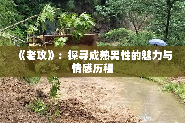 《老攻》：探寻成熟男性的魅力与情感历程