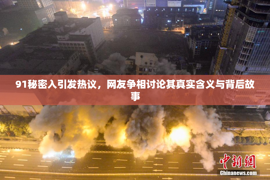 91秘密入引发热议，网友争相讨论其真实含义与背后故事