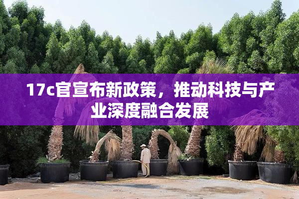17c官宣布新政策，推动科技与产业深度融合发展