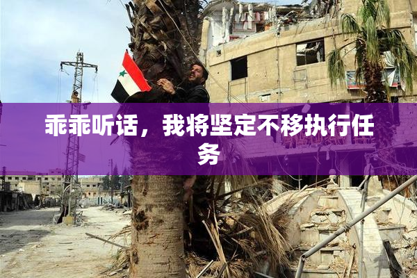 乖乖听话，我将坚定不移执行任务