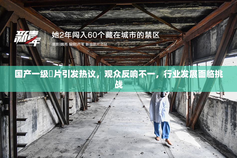 国产一级婬片引发热议，观众反响不一，行业发展面临挑战