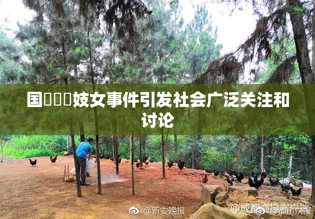 国產梱綁妓女事件引发社会广泛关注和讨论