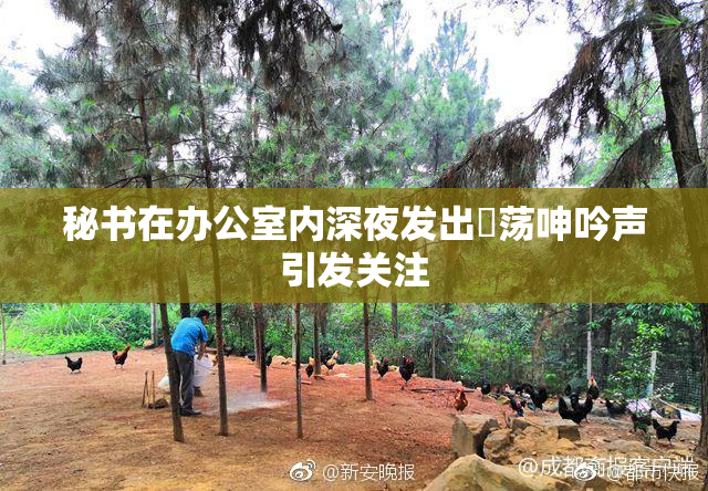 秘书在办公室内深夜发出婬荡呻吟声引发关注
