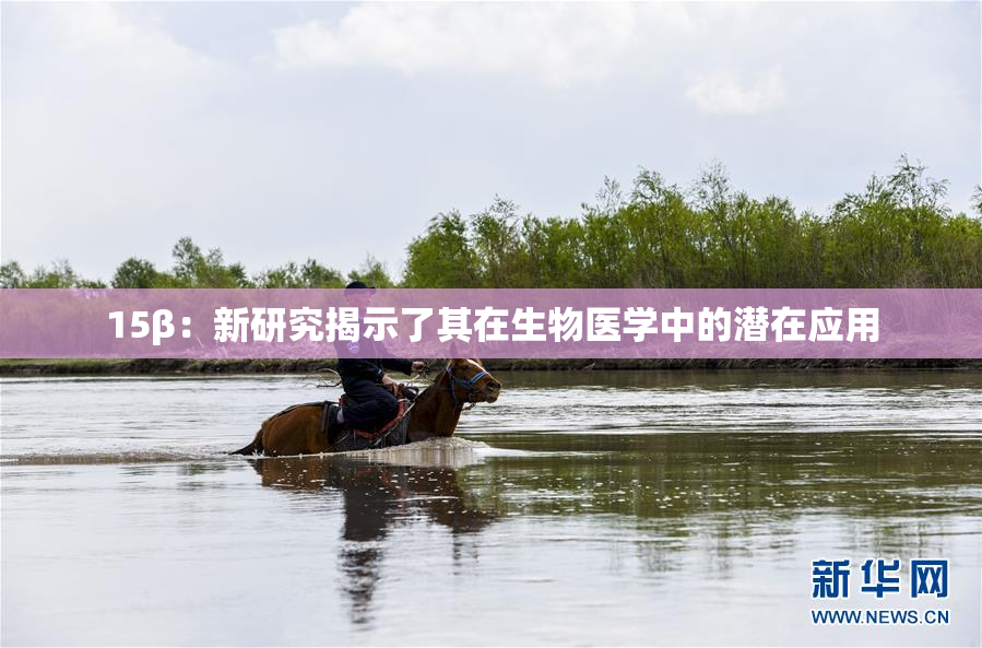 15β：新研究揭示了其在生物医学中的潜在应用