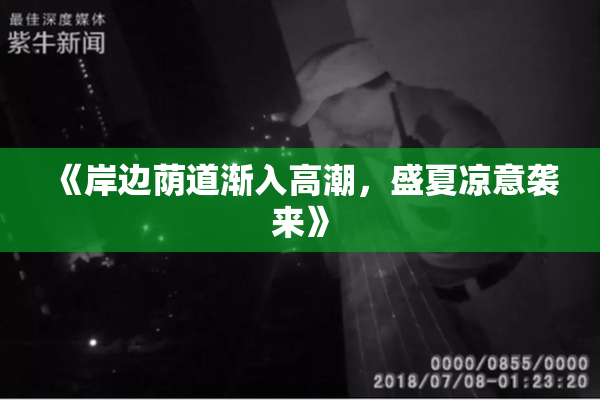 《岸边荫道渐入高潮，盛夏凉意袭来》