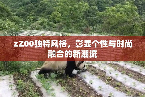 zZ00独特风格，彰显个性与时尚融合的新潮流