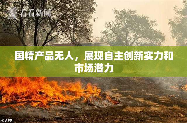 国精产品无人，展现自主创新实力和市场潜力