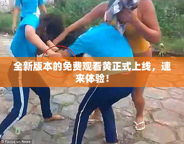 全新版本的免费观看黄正式上线，速来体验！