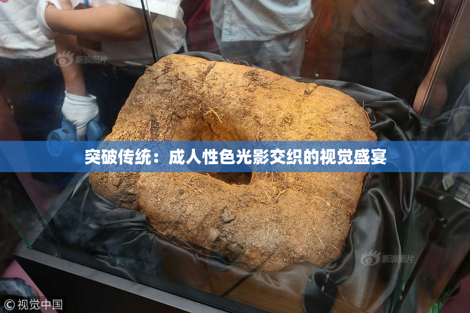 突破传统：成人性色光影交织的视觉盛宴