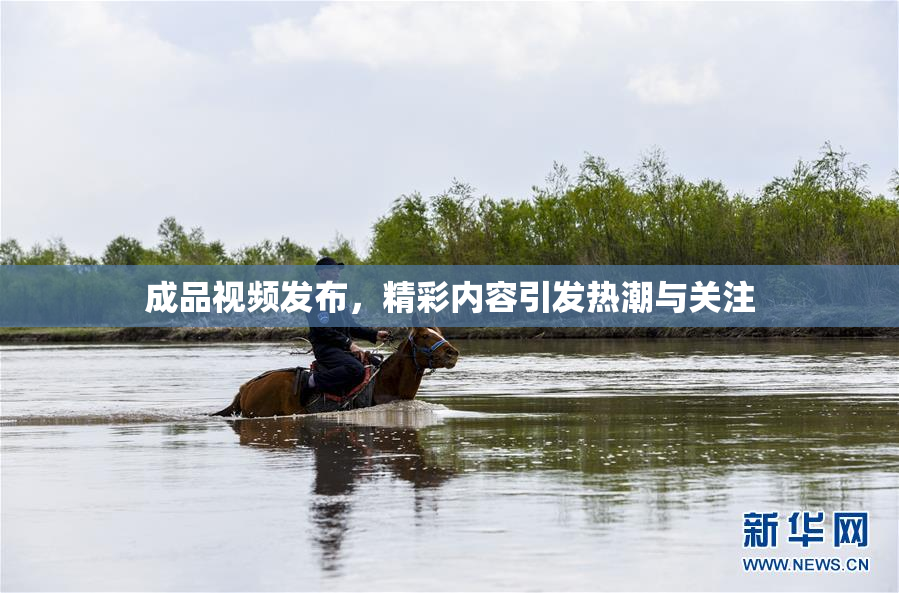 成品视频发布，精彩内容引发热潮与关注