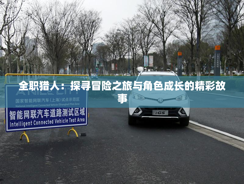 全职猎人：探寻冒险之旅与角色成长的精彩故事