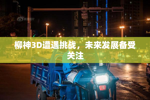 柳神3D遭遇挑战，未来发展备受关注
