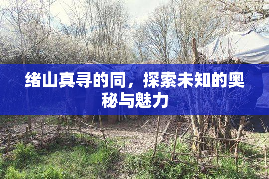 绪山真寻的同，探索未知的奥秘与魅力