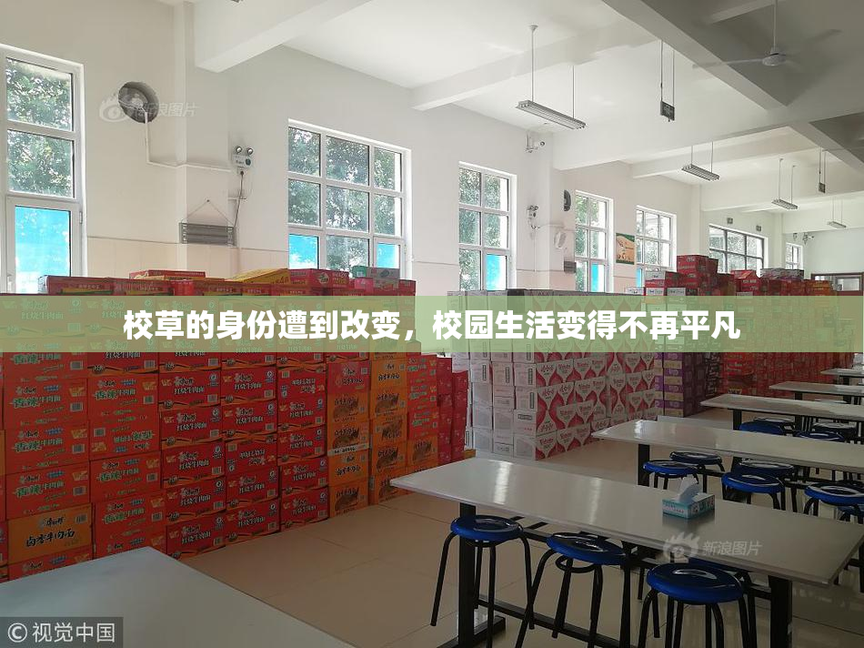 校草的身份遭到改变，校园生活变得不再平凡