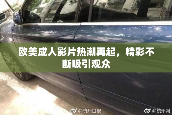 欧美成人影片热潮再起，精彩不断吸引观众