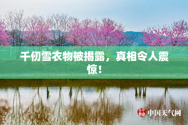 千仞雪衣物被揭露，真相令人震惊！