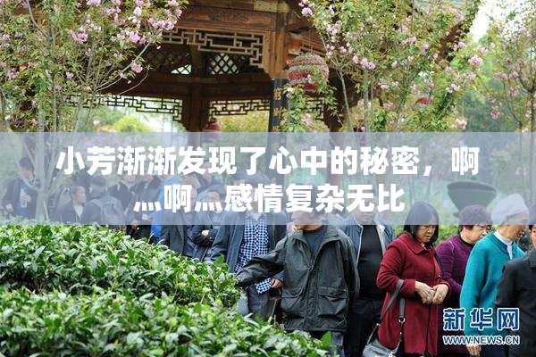 小芳渐渐发现了心中的秘密，啊灬啊灬感情复杂无比