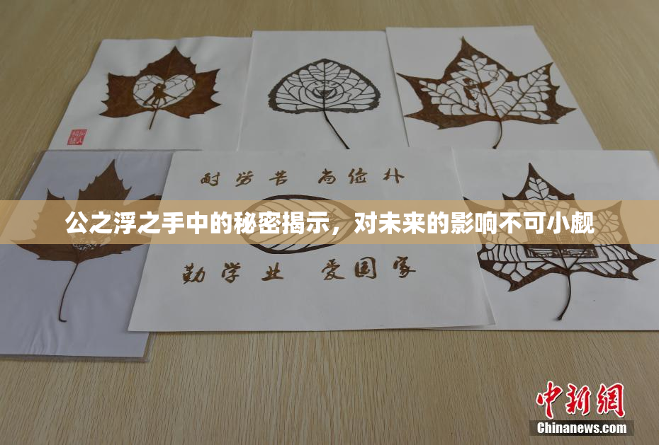 公之浮之手中的秘密揭示，对未来的影响不可小觑