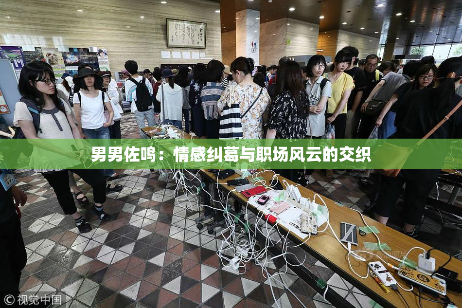 男男佐鸣：情感纠葛与职场风云的交织
