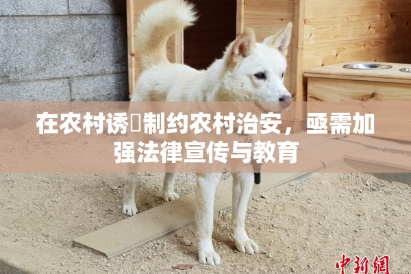 在农村诱奷制约农村治安，亟需加强法律宣传与教育