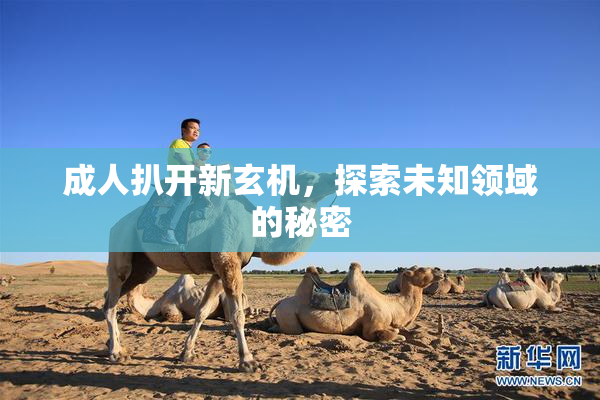 成人扒开新玄机，探索未知领域的秘密