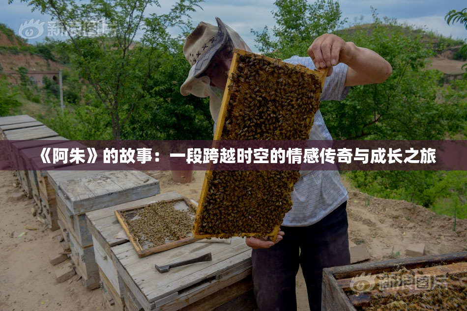 《阿朱》的故事：一段跨越时空的情感传奇与成长之旅