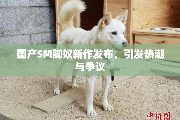 国产SM脚奴新作发布，引发热潮与争议