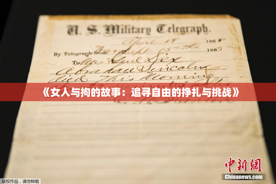 《女人与拘的故事：追寻自由的挣扎与挑战》