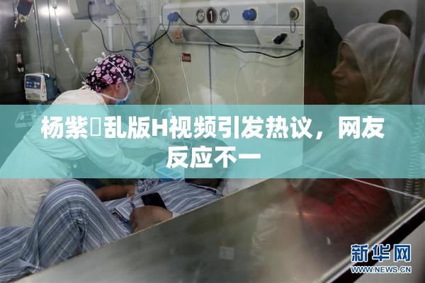 杨紫婬乱版H视频引发热议，网友反应不一