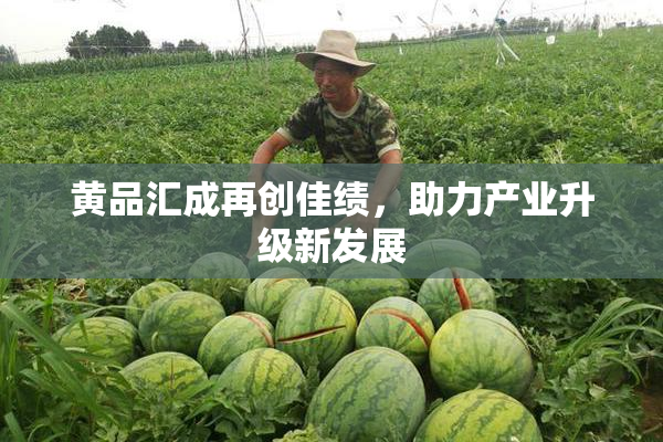 黄品汇成再创佳绩，助力产业升级新发展