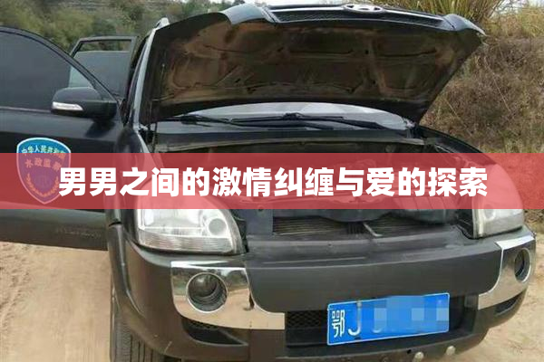 男男之间的激情纠缠与爱的探索