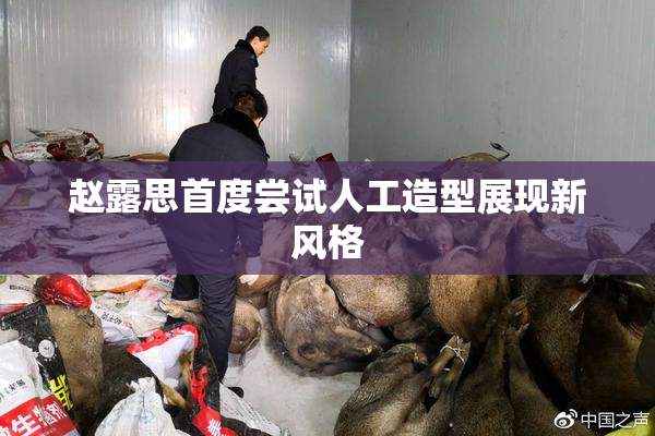 赵露思首度尝试人工造型展现新风格