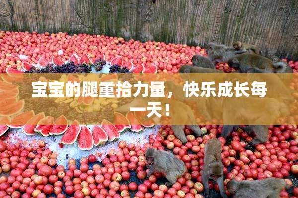 宝宝的腿重拾力量，快乐成长每一天！