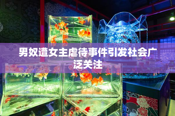 男奴遭女主虐待事件引发社会广泛关注