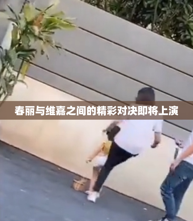 春丽与维嘉之间的精彩对决即将上演