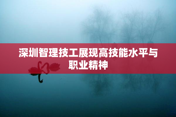 深圳智理技工展现高技能水平与职业精神