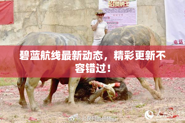 碧蓝航线最新动态，精彩更新不容错过！