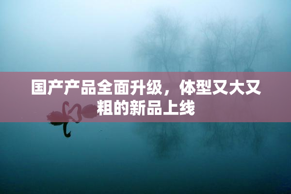 国产产品全面升级，体型又大又粗的新品上线