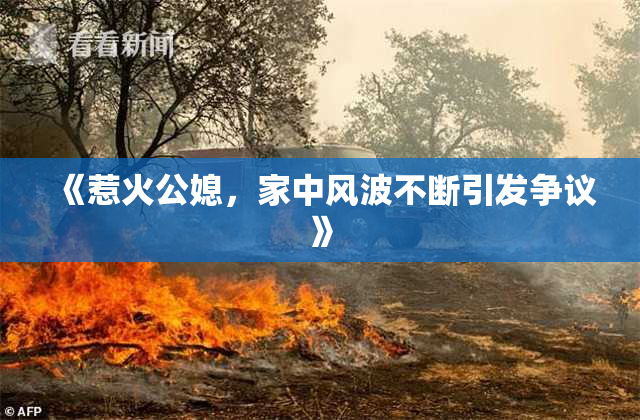 《惹火公媳，家中风波不断引发争议》